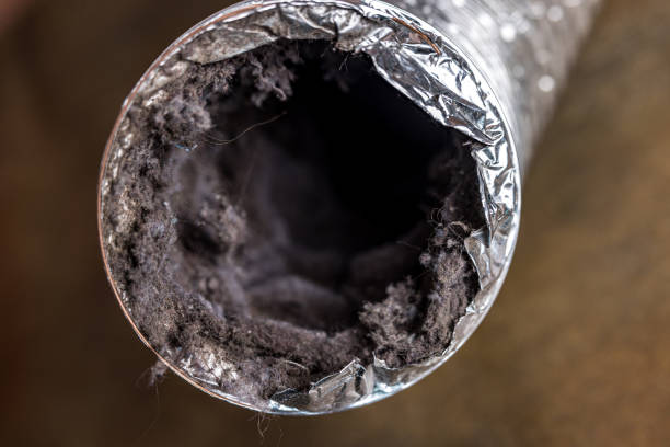 Best Local Air Duct Cleaning Services  in Stone Ridge, VA